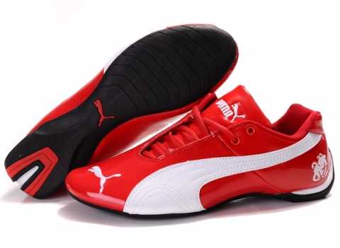 speed cat sd puma